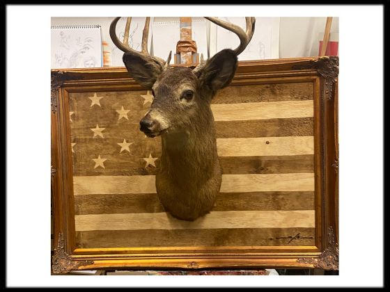 American Buck - 24” x 36”